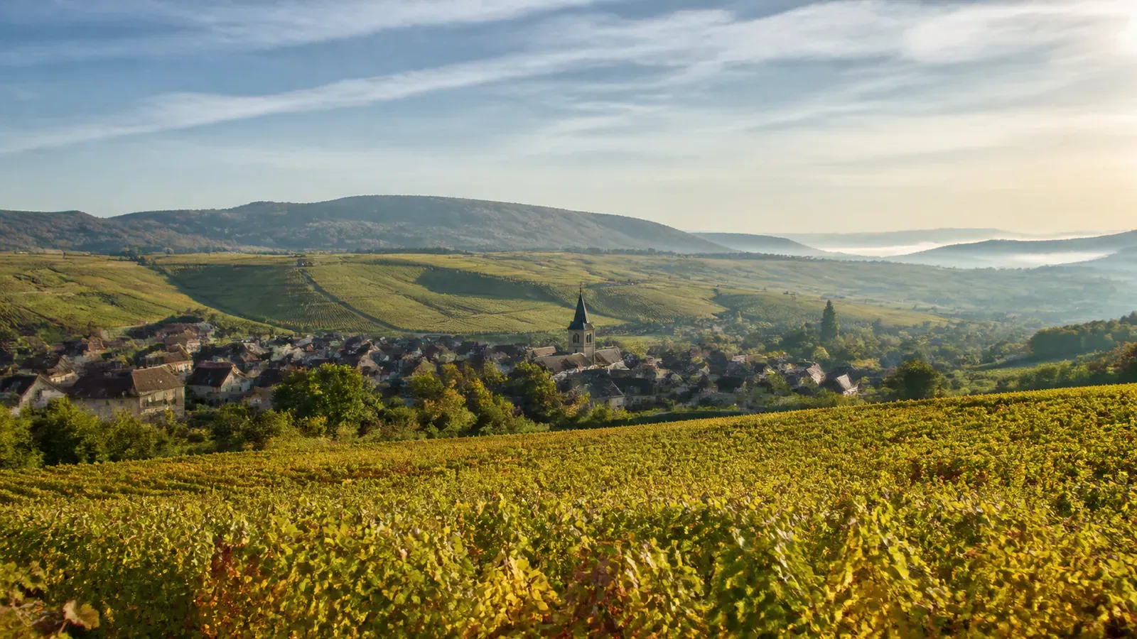 Paysage évocateur du département Aube et de sa région