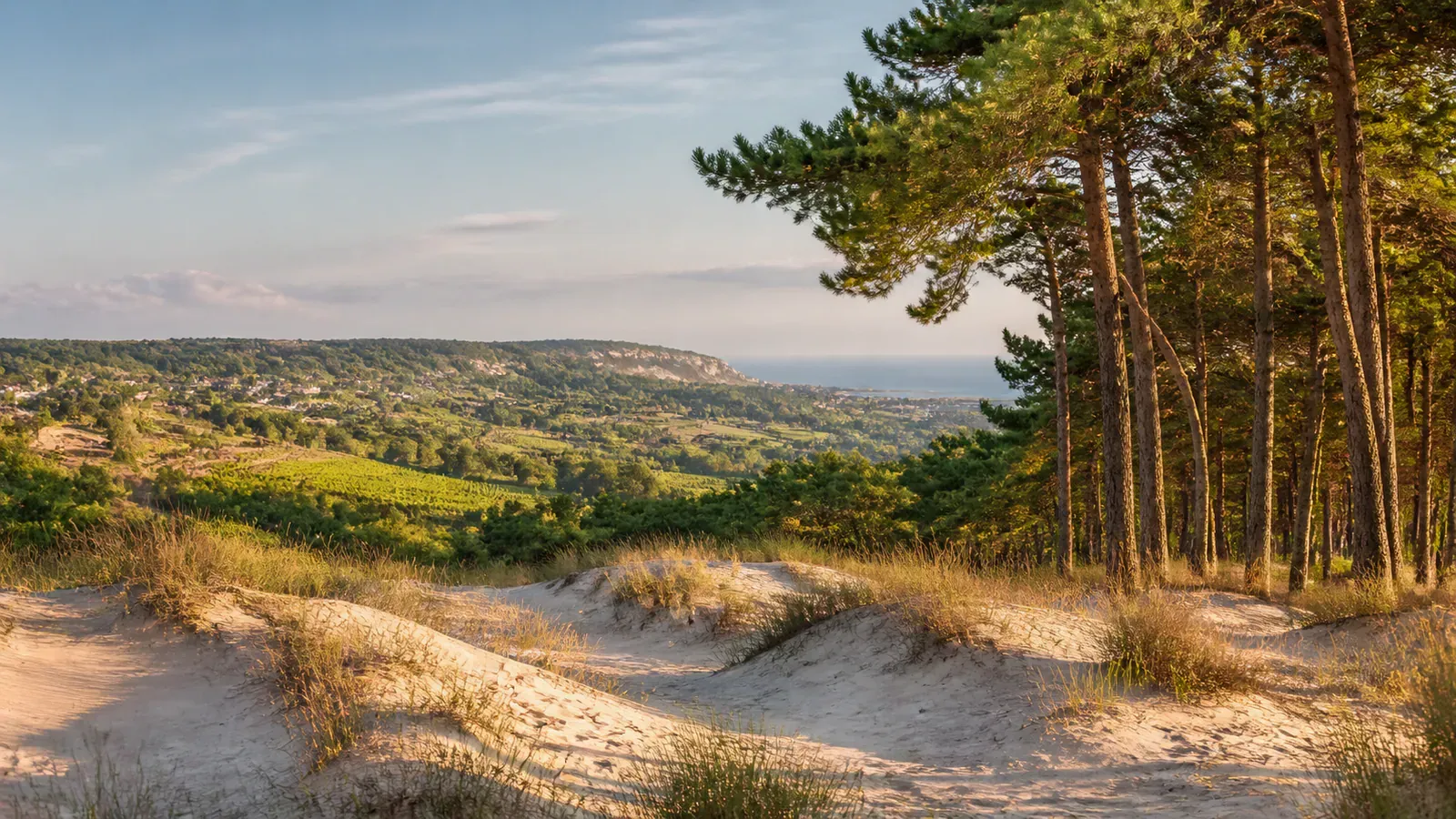 Paysage évocateur du département Creuse et de sa région