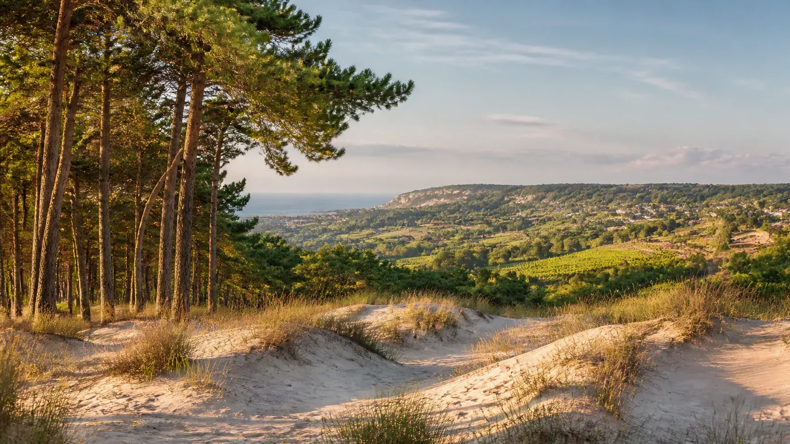 Paysage évocateur du département Landes et de sa région