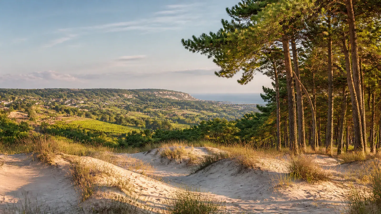 Paysage évocateur du département Lot-et-Garonne et de sa région
