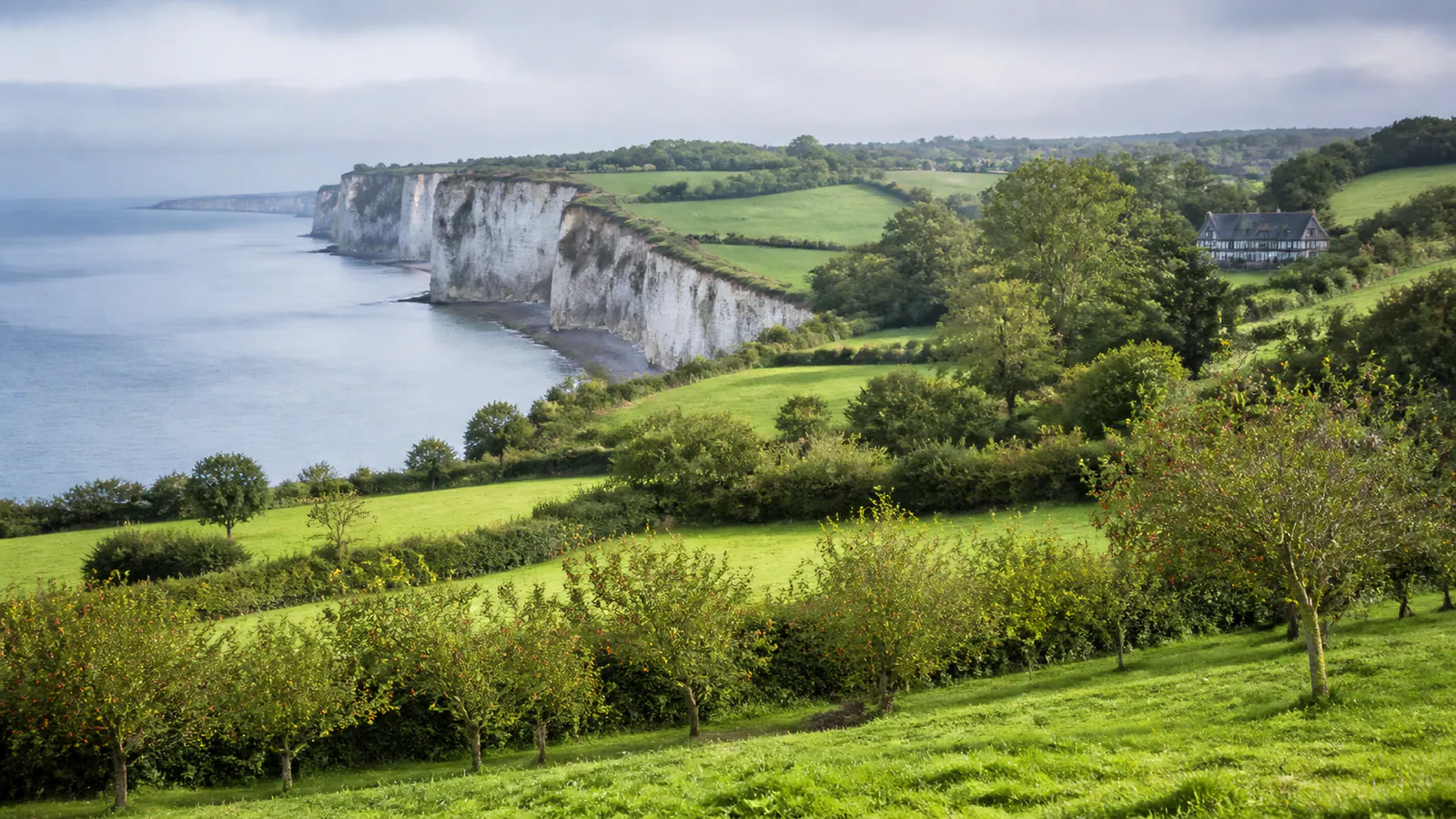 Paysage évocateur du département Manche et de sa région