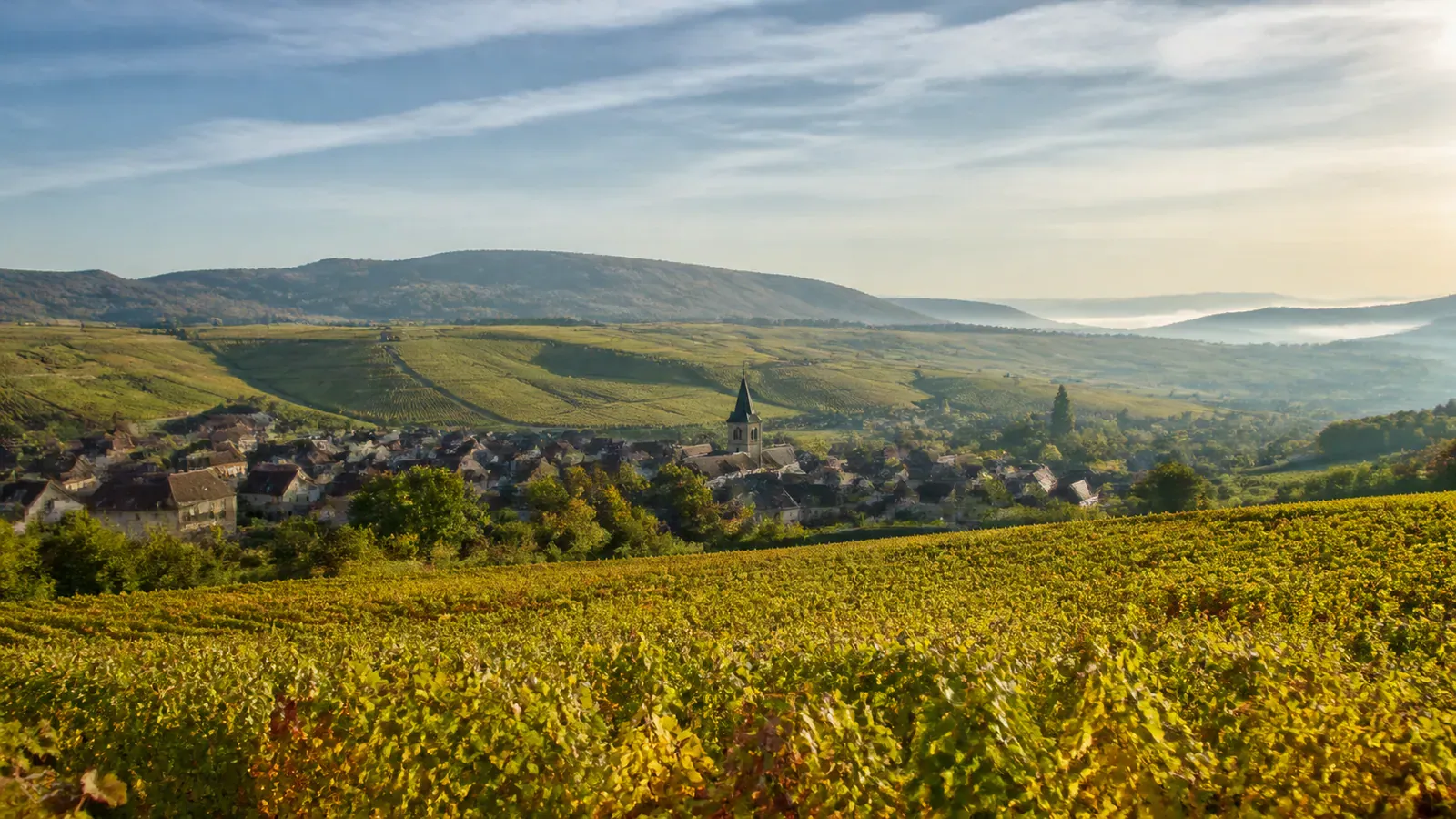 Paysage évocateur du département Haute-Marne et de sa région