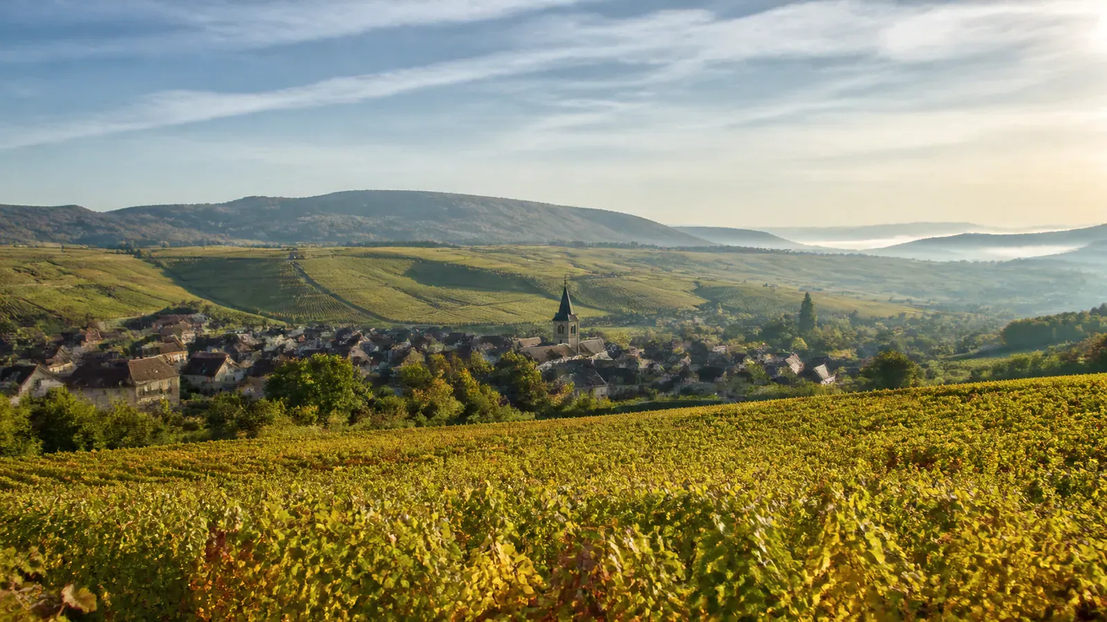 Paysage évocateur du département Meuse et de sa région