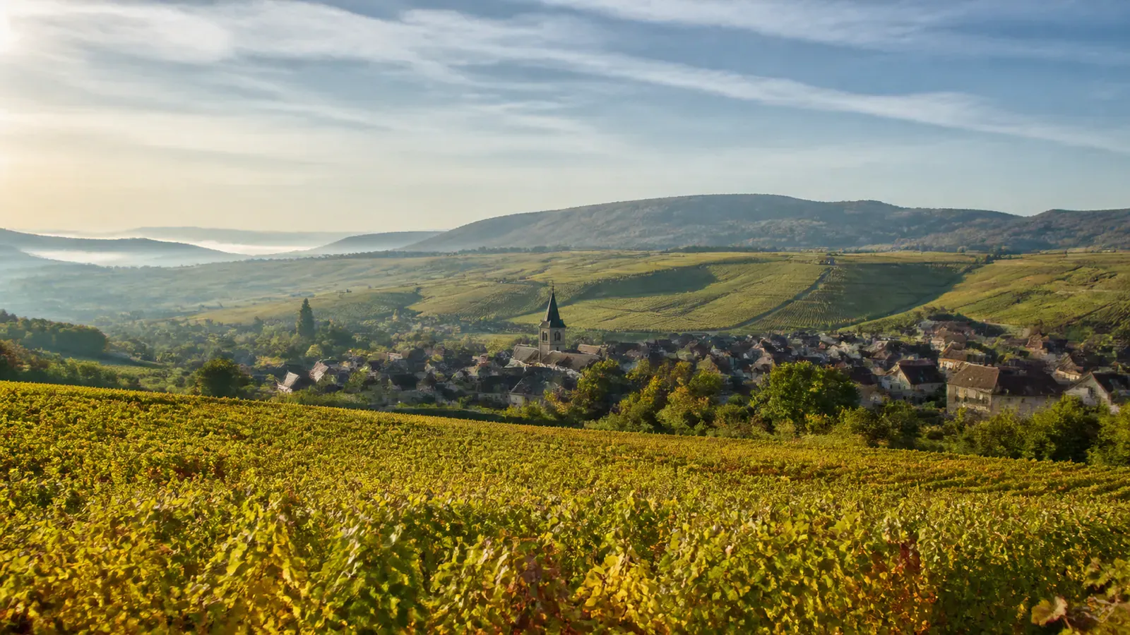 Paysage évocateur du département Moselle et de sa région