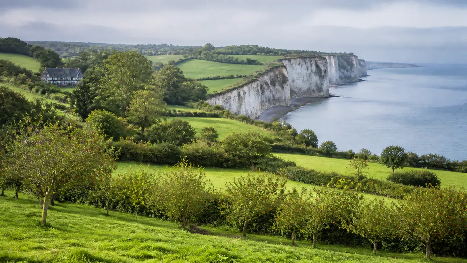 Paysage évocateur du département Orne et de sa région