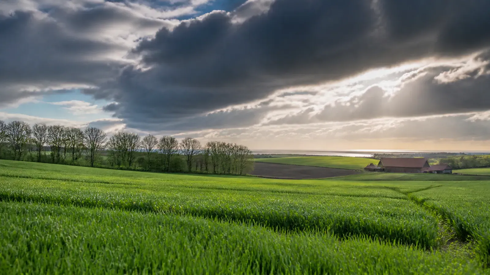 Paysage évocateur du département Pas-de-Calais et de sa région