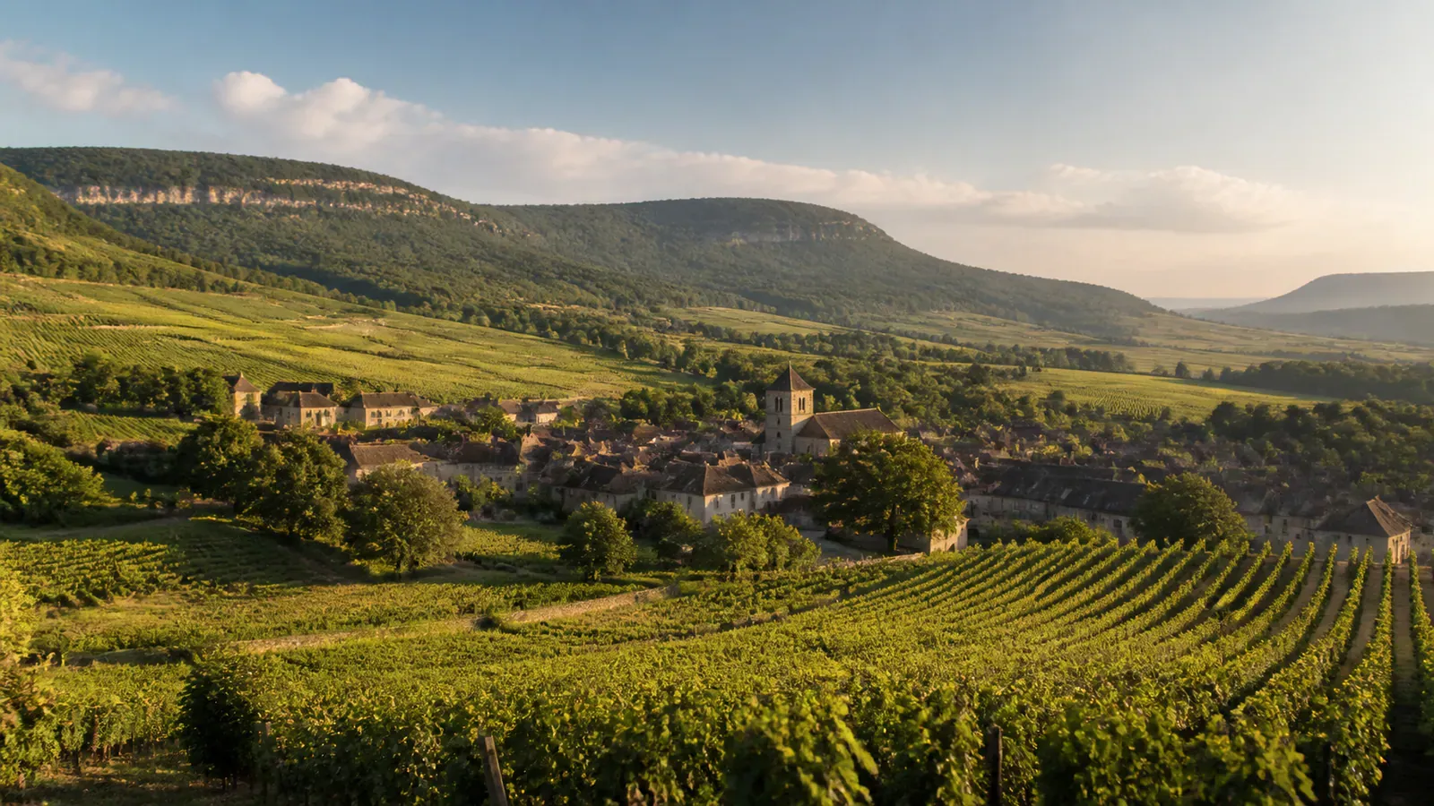 Paysage évocateur du département Haute-Saône et de sa région