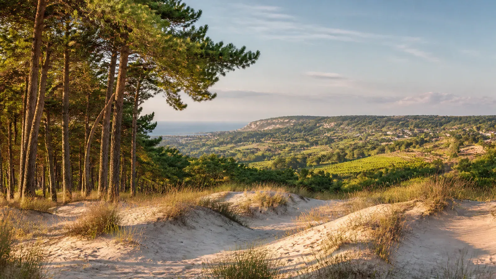 Paysage évocateur du département Vienne et de sa région