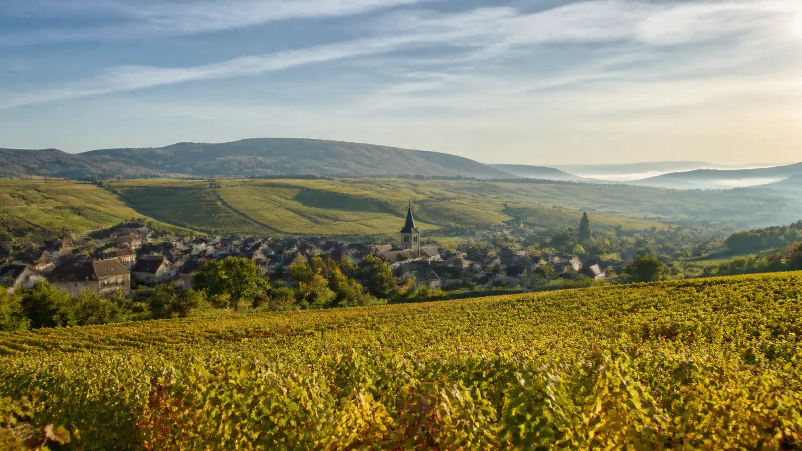 Paysage évocateur du département Vosges et de sa région