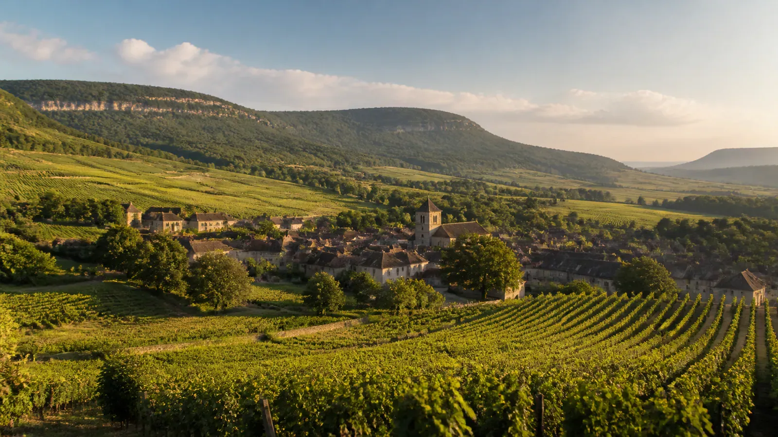 Paysage évocateur du département Yonne et de sa région