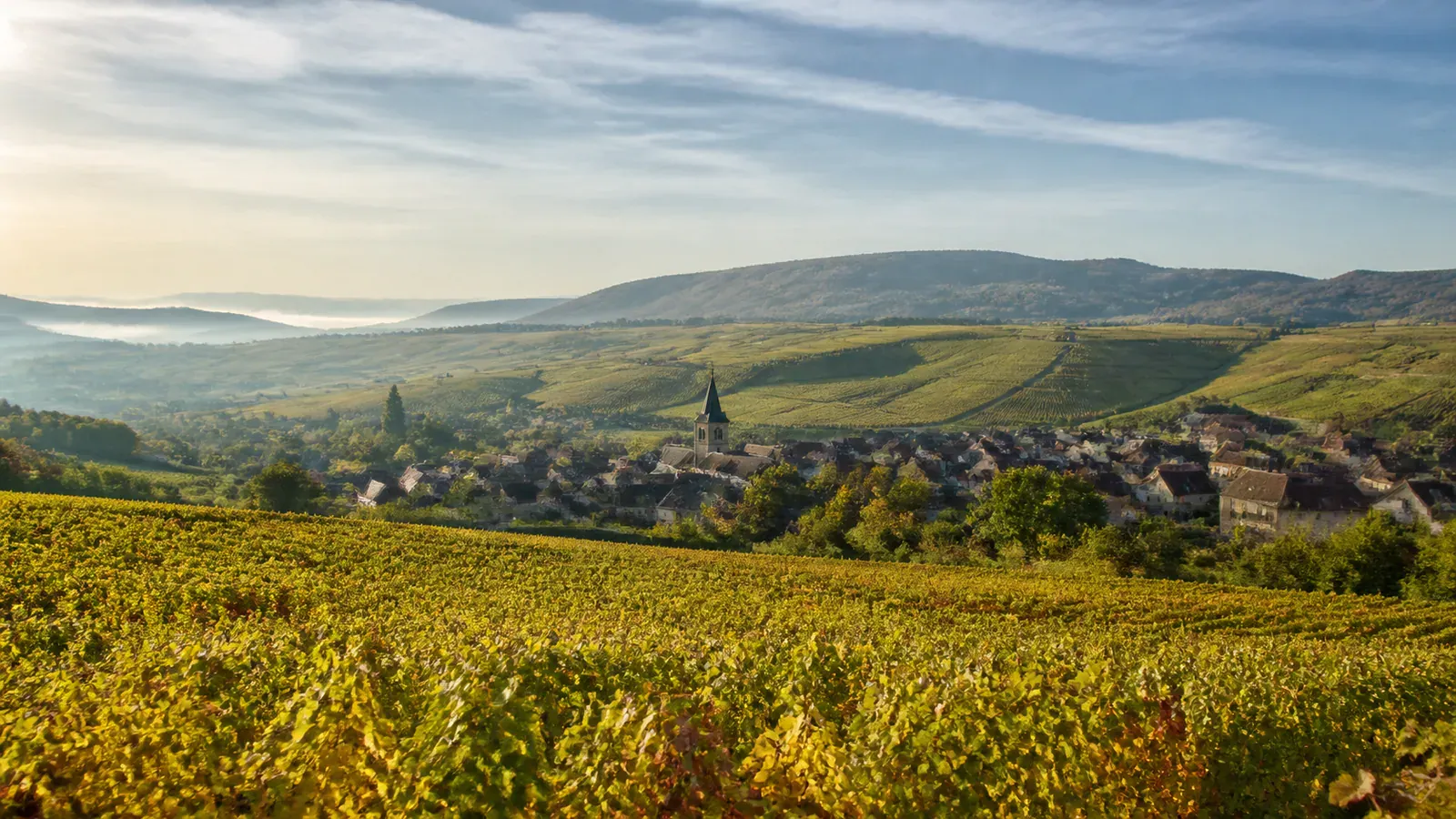 Paysage évocateur de la région Grand Est