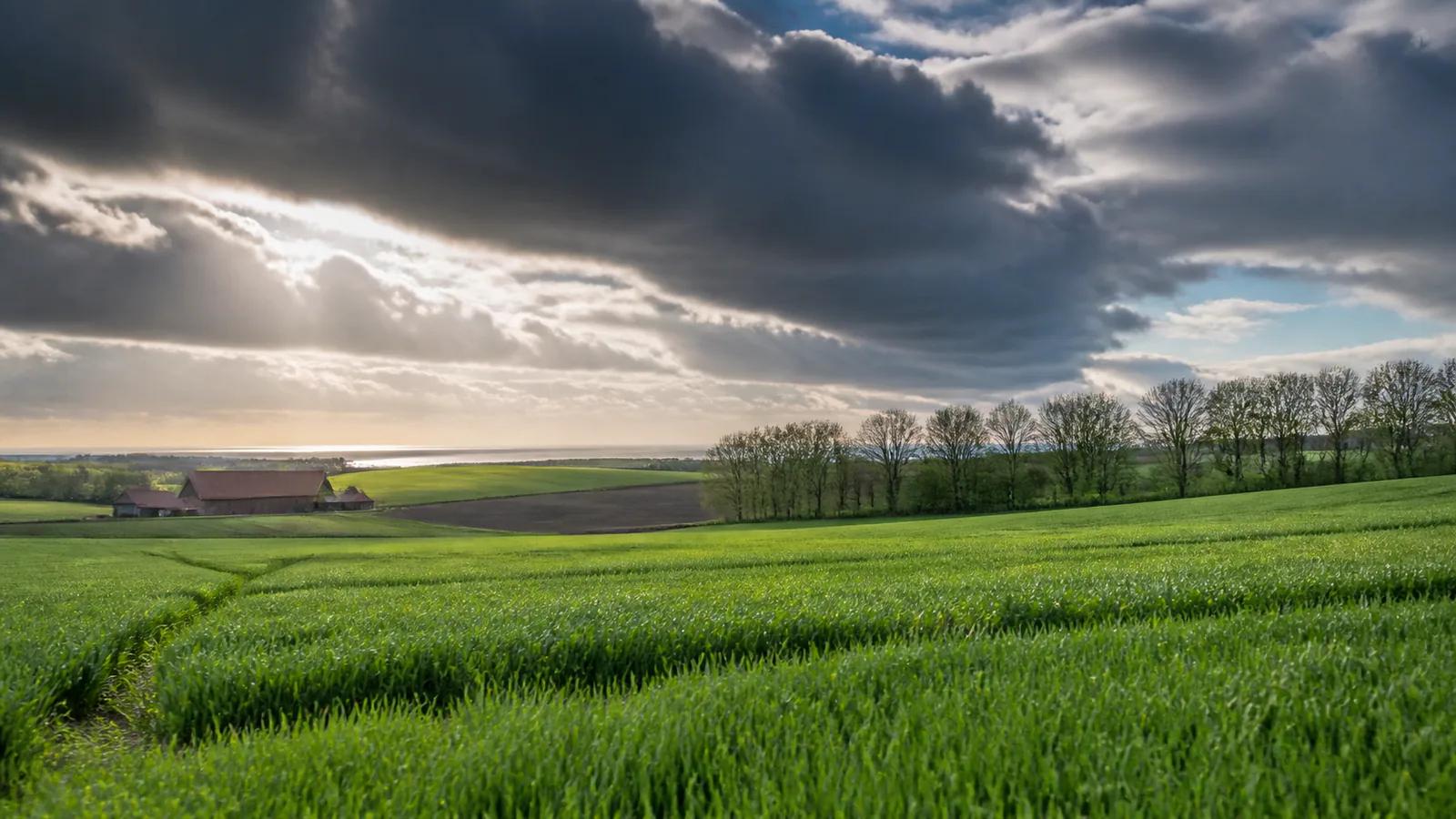 Paysage évocateur de la région Hauts-de-France